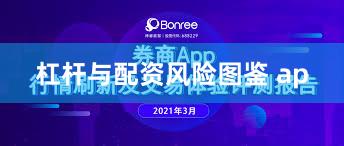 杠杆与配资风险图鉴 ap