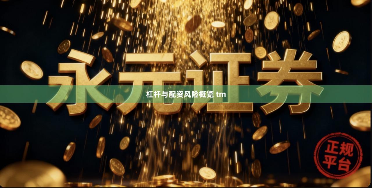 杠杆与配资风险概览 tm